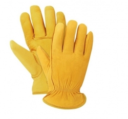 Driving Gloves (Unlined )